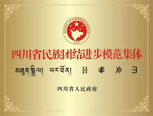 小卓瑪走下高原，千里就醫(yī) | 通用醫(yī)療三六三醫(yī)院的“藏漢情緣”(圖11)