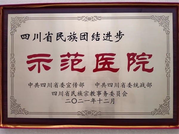小卓瑪走下高原，千里就醫(yī) | 通用醫(yī)療三六三醫(yī)院的“藏漢情緣”(圖12)